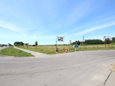 Działka usługowa Pałecznica-Kolonia