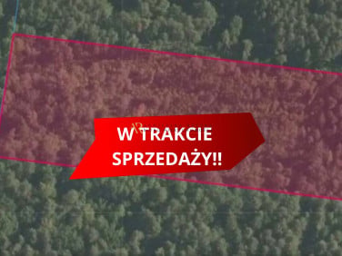 Działka leśna sprzedam