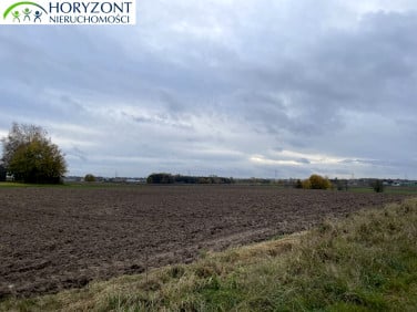 Działka przy lesie