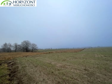 Działka budowlana Dobrzewino sprzedam
