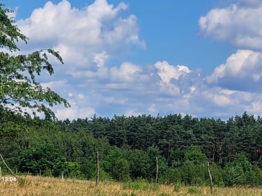 Działka siedliskowa Wiśniewo
