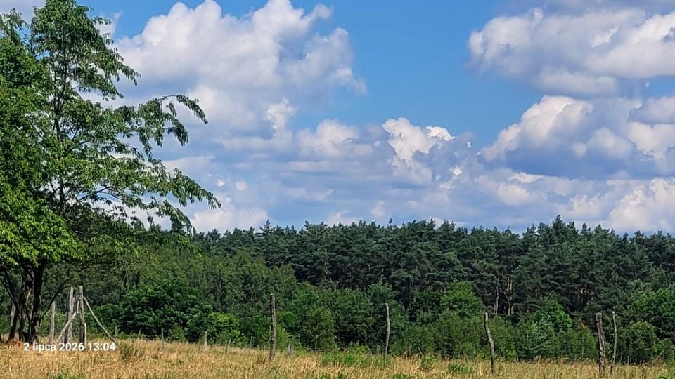 Działka siedliskowa Wiśniewo