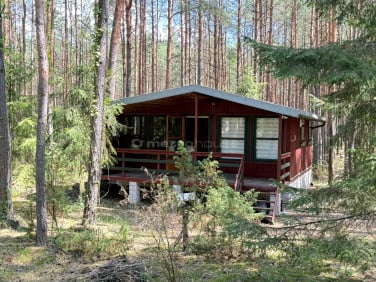 Działka budowlana Łosie