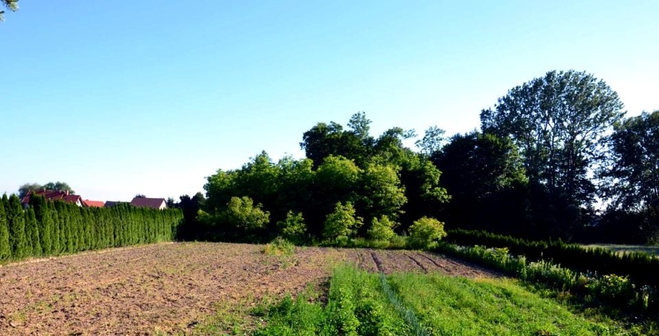 Działka budowlana Dębno