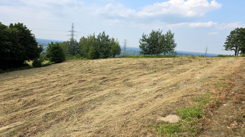 Zdjęcie 2