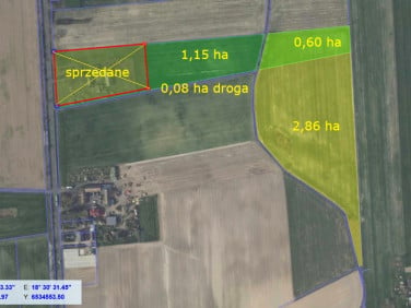 Działka przy lesie