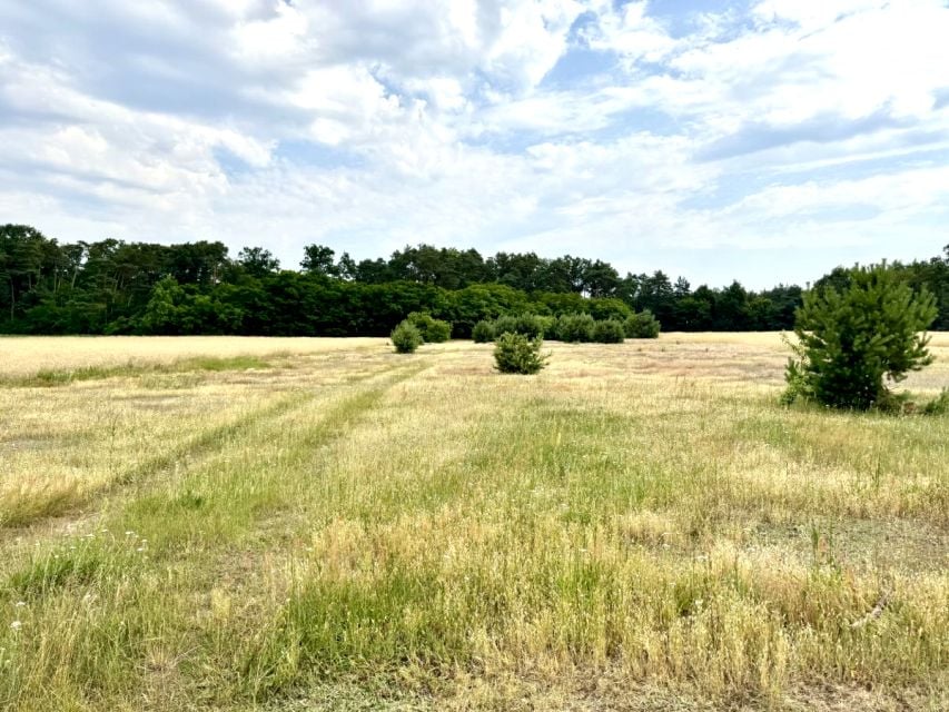 Działka budowlana Baranówko