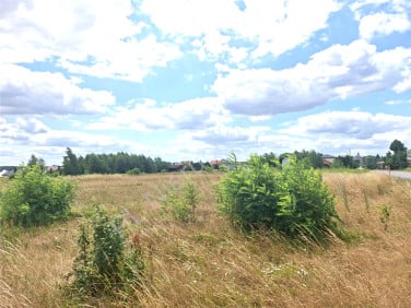 Działka Siennica