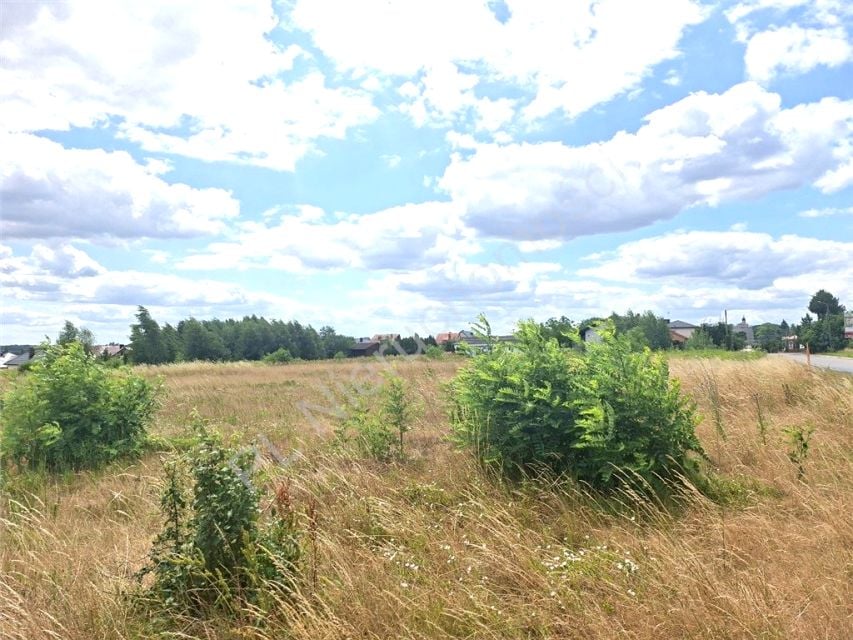 Działka Siennica