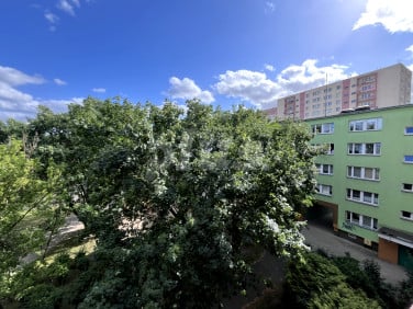 Mieszkanie Szczecin sprzedaż