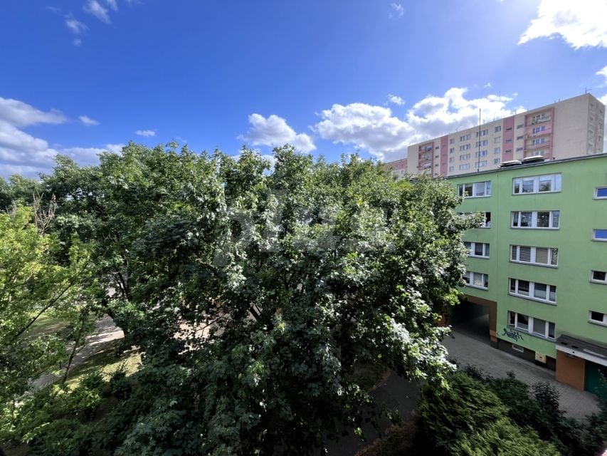 Mieszkanie Szczecin sprzedaż