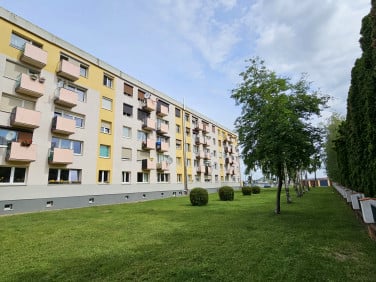 Mieszkanie Kościan