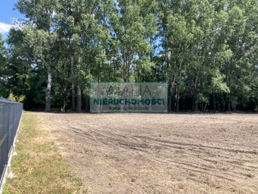 Działka Baranów