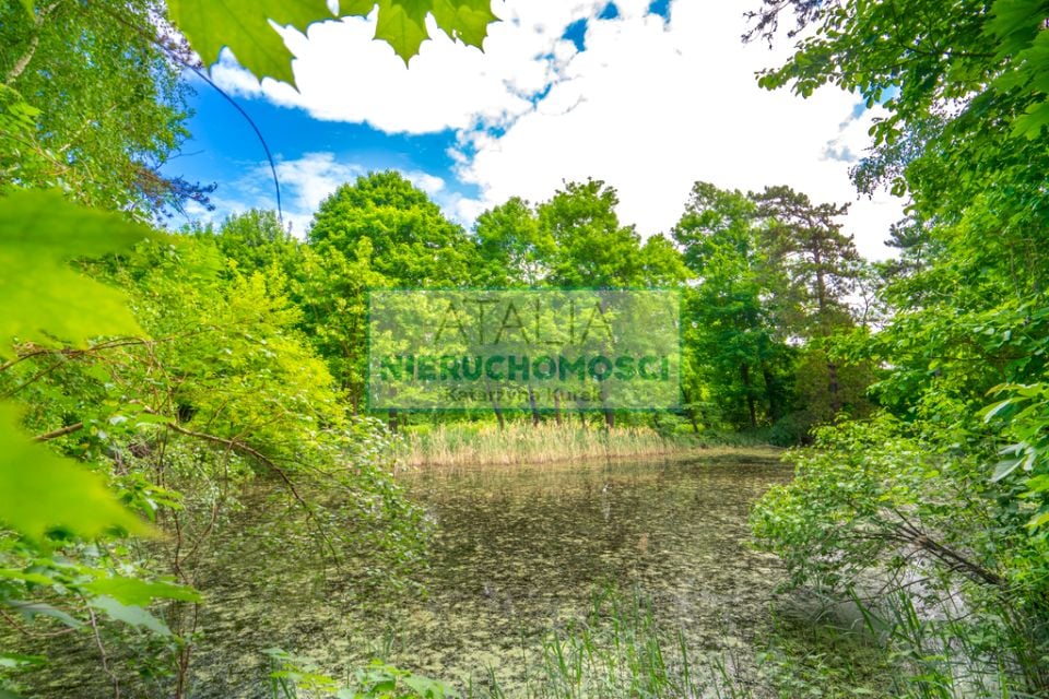 Działka Grodzisk Mazowiecki