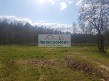 Działka Książenice