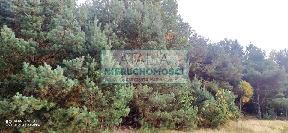 Działka Radziejowice