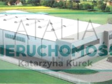 Działka Mieszkowo