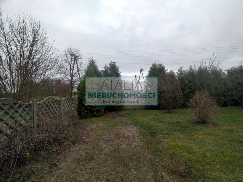 Zdjęcie 3