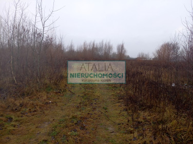 Działka Kłudno Nowe