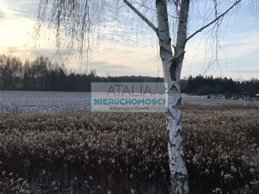 Zdjęcie 3