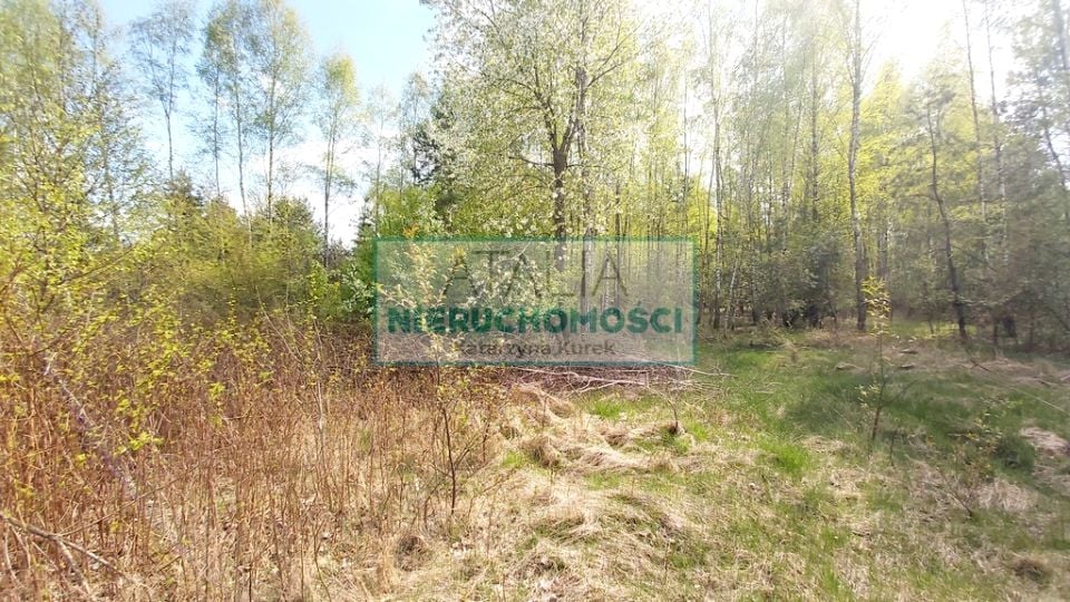 Działka inwestycyjna Zalesie