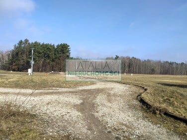 Działka przy lesie