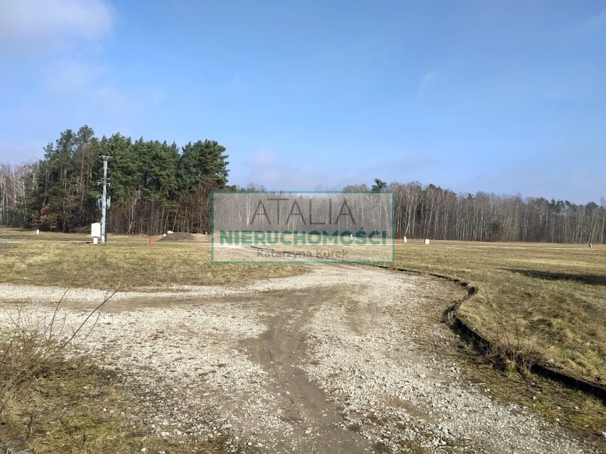Działka przy lesie