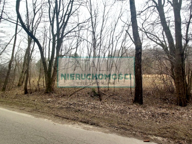 Działka rolna Korabiewice