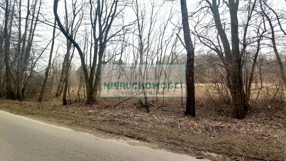 Działka rolna Korabiewice