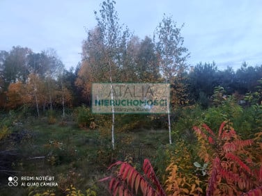 Działka Owczarnia