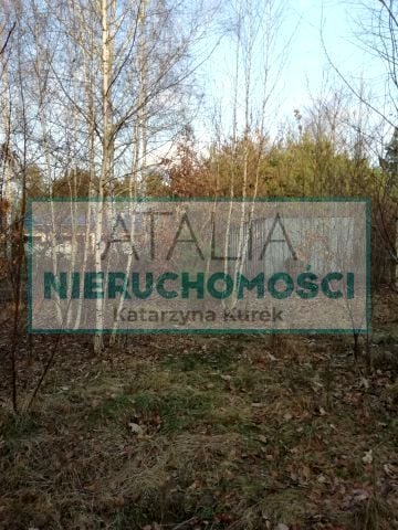 Działka Owczarnia