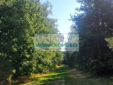 Działka Prace Duże