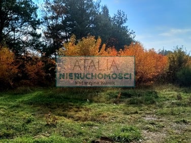 Działka Piotrkowice