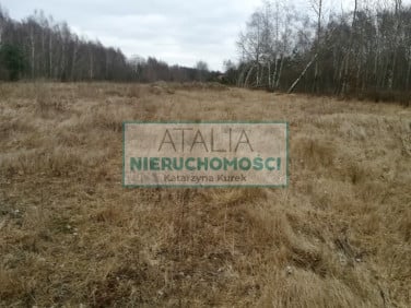 Działka budowlana Czarny Las sprzedam