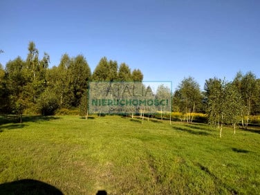 Działka Żółwin