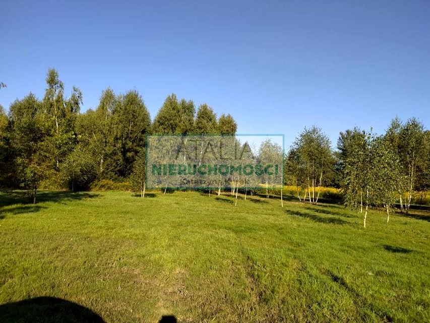 Działka Żółwin