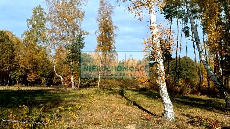 Działka Zalesie