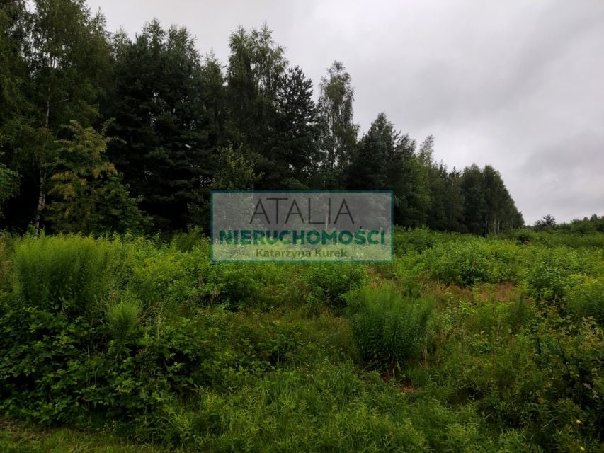 Zdjęcie 2