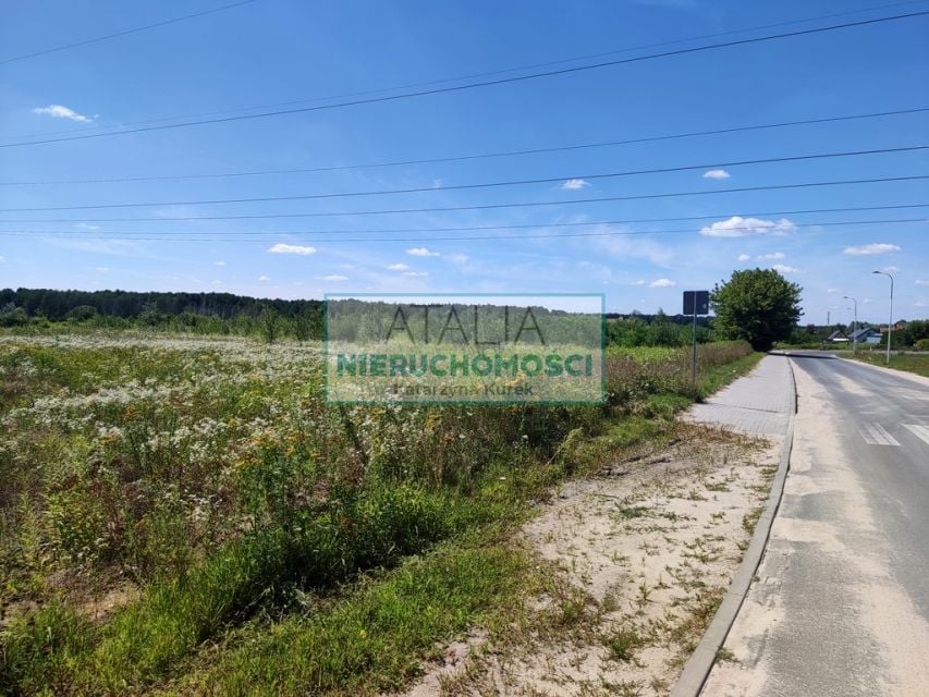 Działka Wolica