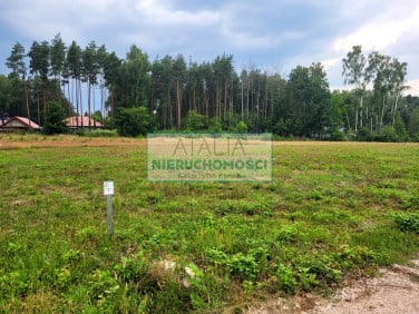 Działka Wycinki Osowskie
