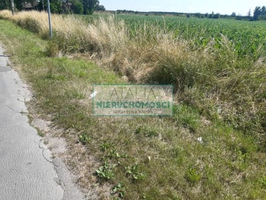 Działka Grodzisk Mazowiecki
