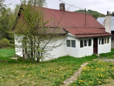 Dom Krzyżówki