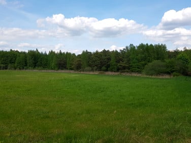 Działka inna Borowy Młyn
