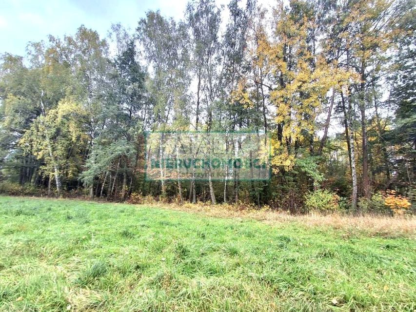 Działka Radonie