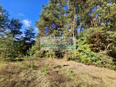 Działka budowlana Strzeniówka sprzedam