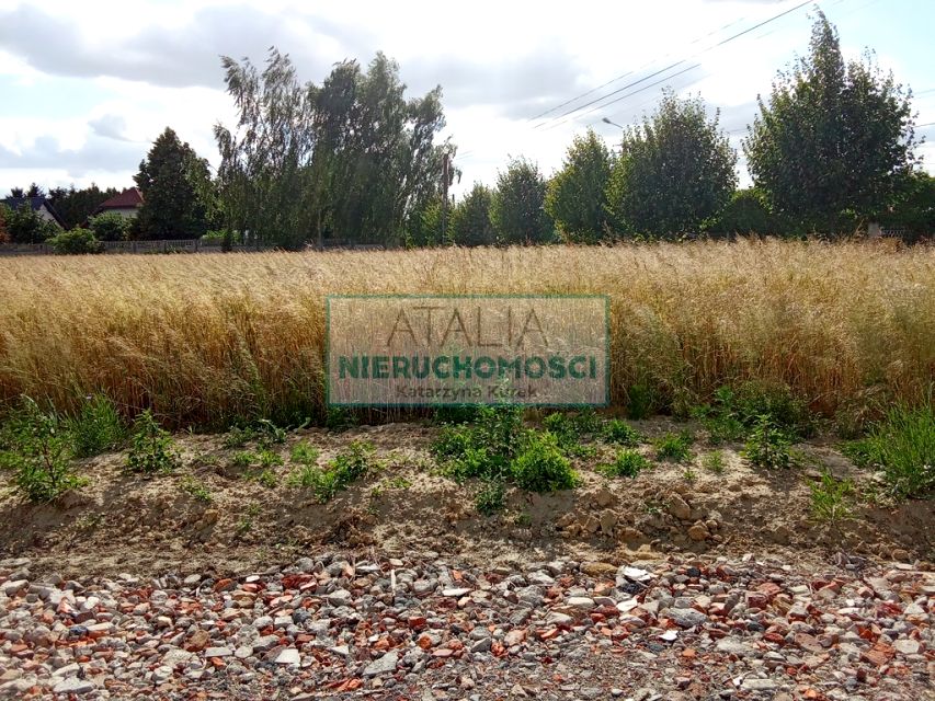 Zdjęcie 3