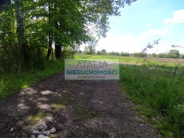 Działka Chrzanów Mały