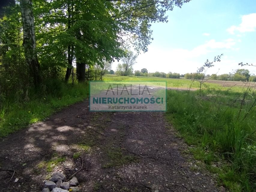 Działka Chrzanów Mały