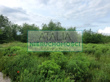 Działka Kłudno Nowe