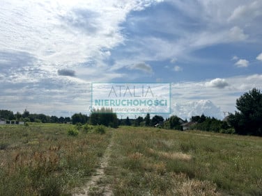 Działka Nadarzyn